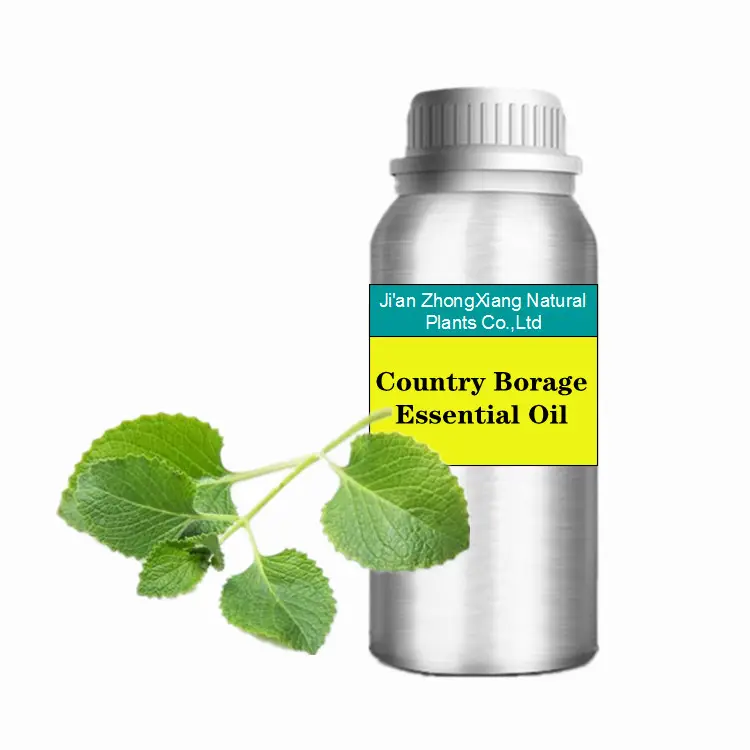 Aceite de Borage de país Natural puro, aceite esencial de tomillo español, menta mexicana, indio