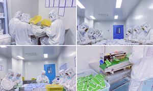 수의학 진단 애완 동물 제품 babesia canis-집에서 자체 테스트를위한 테스트 키트 용 babesia gibsoni 항체 급속 항원 - Product Image 6