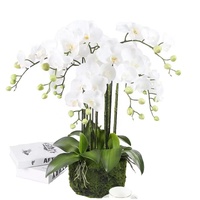 LUYI Kunstmatige Orchidee in Pot Realistisch Vlinderorchidee Arrangement met Keramische Pot voor Huis Hotel Bruiloft Decoratie