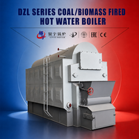 Chaudière à eau chaude automatique à grille à chaînes DZL, au charbon et biomasse, pour le chauffage industriel et le chauffage collectif en usine