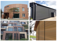Revêtement mural extérieur en WPC rainuré de style européen, imperméable, ignifuge, durable, panneau 3D décoratif brossé, usage domestique, 5 ans