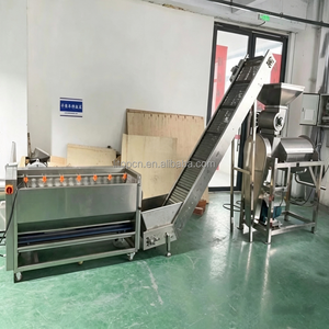 Extracteur de <span class=keywords><strong>jus</strong></span> <span class=keywords><strong>industriel</strong></span> pour gingembre, oignon, pêche, raisin, fruit de la passion, <span class=keywords><strong>orange</strong></span>, goyave, poire et pomme - Product Image 6