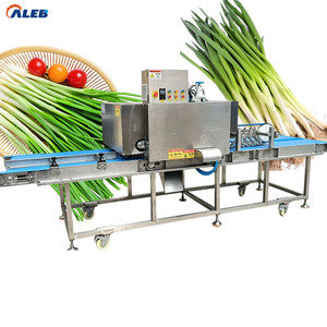 Macchina Commerciale per Sbucciare Aglio e Cipollotti, Macchina per Tagliare Radici e Rimuovere la Buccia delle Cipolle Verdi - Product Image 1