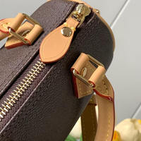 Sacs à main de luxe pour femmes, sacs à bandoulière de créateur, mini sacs à bandoulière tendance avec fermeture éclair, doublure en polyester