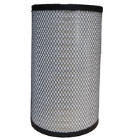 Filtre à air ORIGINAL P781182 P784021 RS30116 Utilisation pour filtre Donaldson 1535521 503136930 C3217521 C321752