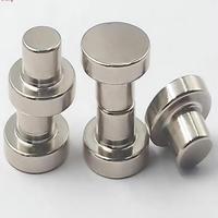 Imanes de Neodimio con Forma Personalizada, Cilindro Magnético Radial, Materiales N52, Mini Imanes Pequeños, Disco Magnético de Neodimio para Refrigerador