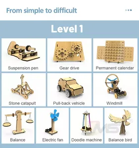 Jouet Puzzle en bois pour enfants, blocs de construction, tige scientifique physique, jouet éducatif pour enfants