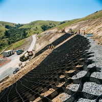 Grille de gravier en géocell HDPE pour allée, protection des pentes et stabilisation du fond de route, perforée texturée