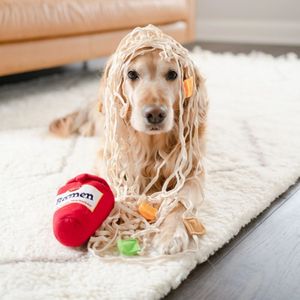 New Eco-Friendly <b>Plush</b> Sniffing Ramen Pet Chew Toy Instant Noodle Bucket in Red Color for Cats and Dogs - Product Image 5