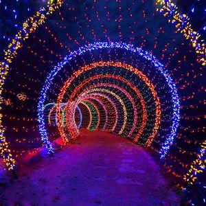 New Wedding Valentine <strong>Entrance</strong> Decoration Heart <strong>Shaped</strong> <strong>Arch</strong> Lights <strong>Designs</strong> - Product Image 5