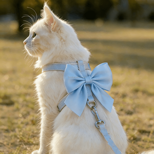 Correa, Arnés y <span class=keywords><strong>Collar</strong></span> para Mascotas con Diseño Personalizado y Logotipo Sublimado, Juego de Accesorios para Perros y Gatos, Color Rosa - Product Image 2