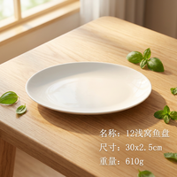 Nouvelle assiette ovale en porcelaine fine 14/12 pouces, assiette à poisson pour fêtes, couleur blanche