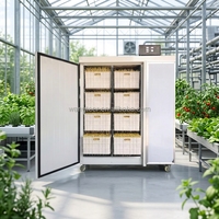 Machine Commerciale Automatique de Traitement des Produits à Base de Haricots 150KG/JOUR, Machine de Germination et de Culture de Bambouilles de Soja Mungo