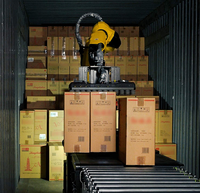 Système robotisé de déchargement de conteneurs pour le chargement de boîtes sur une bande transporteuse