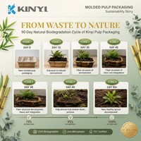 Boîte d'emballage pour flacon de parfum en pulpe moulée sur mesure, écologique, avec insert en pulpe de papier biodégradable pour flacon de parfum