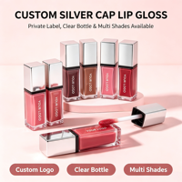 Gloss à lèvres hydratant et repulpant, longue tenue, haute pigmentation, végétalien, personnalisable avec logo, vente en gros, best-seller