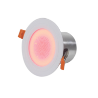 Haut-parleur de plafond Bluetooth 2 en 1 avec lumière LED, éclairage ambiant réglable pour système de sonorisation