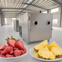 Industriële honingvruchten-vriesdroogmachine snoepdroogmachine PLC vacuümpomp 28KW SUS304 roestvrij staal Guxing merk 1 jaar garantie