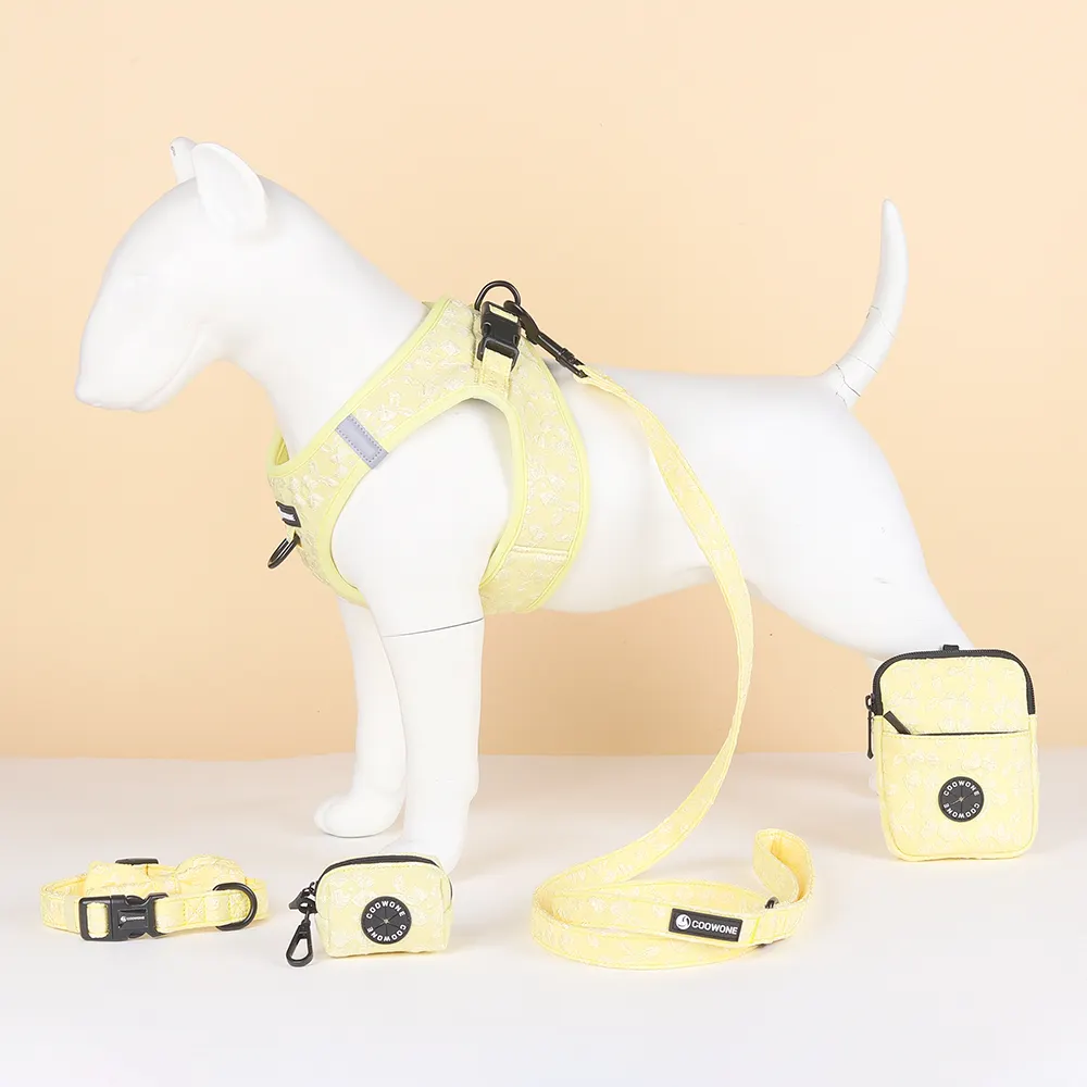 Textuur Hondentuig Set Bloem Hond Halsband Riem Luxe Hondentuig Fabrikanten Uk Dierbenodigdheden