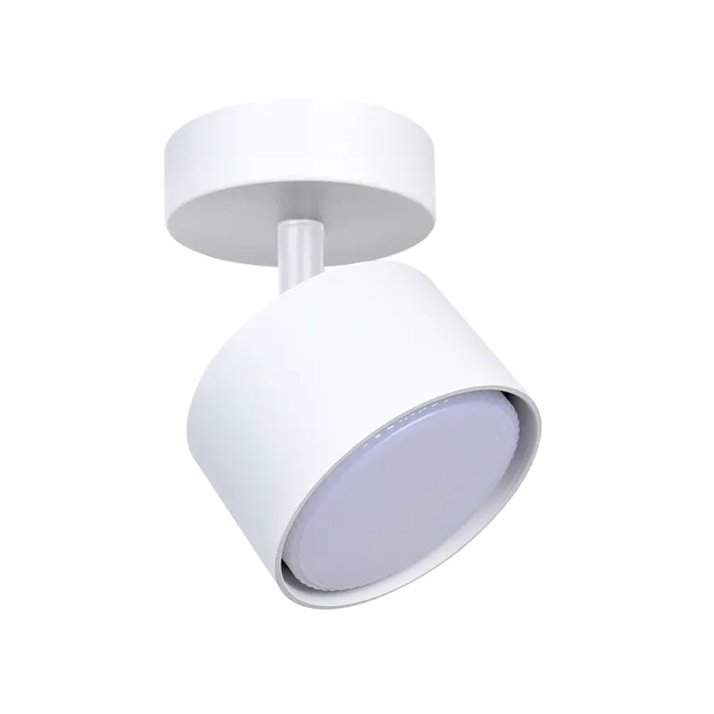 Hot Sale Competitive Price Led Round Surface Mounted GX53 Downlight Fixture