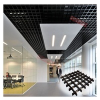 Precio de costo rejilla negra decoración de techo rejilla de aluminio perforado de metal falso techo