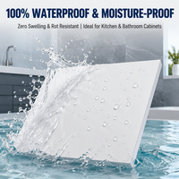 Panneau en mousse PVC co-extrudé 3-30mm Blanc/couleur/blanc pur pour étagères de meubles IP54 résistant aux intempéries