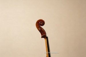 Violín Guarneri Leduc 1745 de una pieza con fondo de arce 4/4, hecho a mano con abeto europeo y accesorios de palisandro, modelo LFTS-605 - Product Image 5