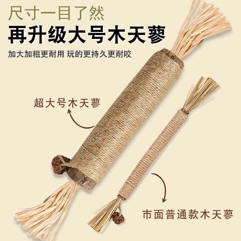 Non emballé, 1,9-2,3 cm d'épaisseur, 38 cm de long, pur, Polygonum multiflorum extra-long (1 pièce)