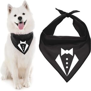 Bandana pour chien ajustable unisexe, mouchoir triangle, bavoir jaune imprimé «Born Run», accessoire de vêtements pour animaux de compagnie lavable et mignon - Product Image 1