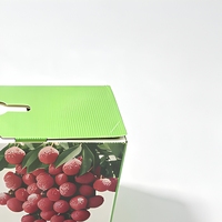 Bacs pliables étanches en polypropylène alvéolaire durable 750x550x480mm pour la manutention et le stockage des matériaux