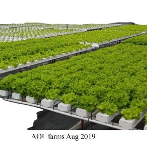 <span class=keywords><strong>Kit</strong></span> de système de culture hydroponique intérieur NFT Système hydroponique vertical pour laitue Serre - Product Image 4