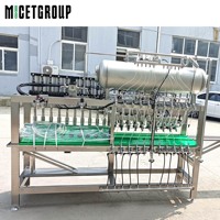 Machine de remplissage isobare semi-automatique 10 têtes pour bouteilles de bière Embouteilleur de verre Remplisseur de boisson liquide Vin Ligne de remplissage de bière