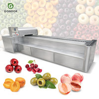 Machine à dénoyauter les abricots, les pruneaux, les cerises et les pêches