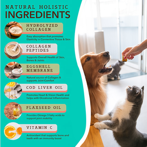 Suplemento Masticable <span class=keywords><strong>de</strong></span> Colágeno Multi-Beneficios <span class=keywords><strong>para</strong></span> la Salud <span class=keywords><strong>de</strong></span> las Mascotas, con Péptidos, Aceite <span class=keywords><strong>de</strong></span> Hígado <span class=keywords><strong>de</strong></span> Bacalao y Cartílago, <span class=keywords><strong>para</strong></span> la Cadera y las Articulaciones <span class=keywords><strong>de</strong></span> Perros - Product Image 6