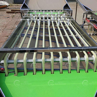 Kersen Sorteermachine Verse Kersen Grader Automatische Kersen Grootte Sorteermachine