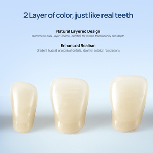 Vendita calda 28 pz dentiere denti finti denti dentali in resina sintetica composita - Product Image 4