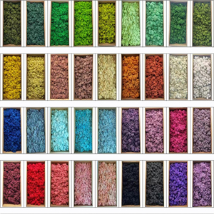 LF-01 전문 사용자 정의 불멸의 이끼 벽 집 식물 도매 시뮬레이션 여러 가지 빛깔의 인공 이끼 벽 장식 - Product Image 6