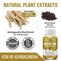 Capsules d'extrait d'ashwagandha végétalien VitaHall, soutient un système nerveux sain, herbe adaptogène, capsules d'ashwagandha KSM-66