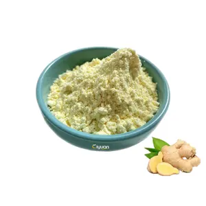 Ciyuan – poudre d'extrait de gingembre 1% 5% 10% en poudre de gingembre