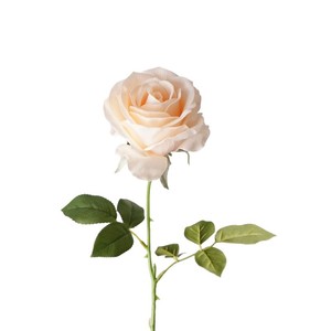 Großhandel Künstliche Blumen Echt Aussehende Feuchtigkeitsspendende Mondel-Rose Einzelblumen-Arrangement Fotografie-Dekoration Blumenschmuck - Product Image 3