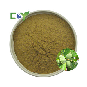 Extracto de Árbol de Almendro de Alta Calidad al Mejor <span class=keywords><strong>Precio</strong></span>, Extracto de Terminalia Catappa, Polvo de Terminalia Catappa - Product Image 1