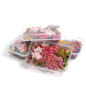 CNMI getrocknete Blumen für Aroma therapie Kerze Schmuck Handwerk Nagel dekoration Plastiktüte Bunte natürliche handgemachte Geschenke Angeln - Product Image 2