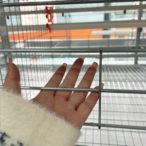 Gabbie Automatiche Galvanizzate per Allevamento di Polli Tipo H per Galline Ovaiole, Batteria per Allevamento Avicolo, Gabbia Metallica per Animali e Uova di Gallina - Product Image 3