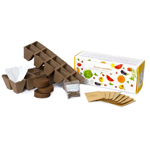 Pots en papier biodégradables certifiés USDA Organic pour <span class=keywords><strong>cuisine</strong></span> et jardin, ensemble de boîtes de culture, cadeau festif pour la maison, utilisation au sol - Product Image 3