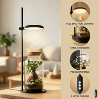 Lampe de table pour plantes de bureau, design moderne noir, s'adapte à tous les intérieurs, avec minuterie et variateur d'intensité, OEM ODM disponible