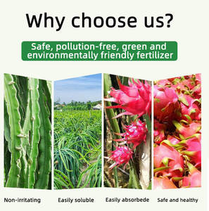 Kalsium <span class=keywords><strong>Magnesium</strong></span> cair kemurnian tinggi suplemen kalsium Pitaya kalsium untuk tanah mendorong fotografis - Product Image 4