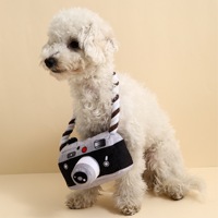 Jouets à mâcher pour chats INS Hot Fashion, jouet en peluche noué en forme d'appareil photo, accessoires pour chiens, jouets sonores pour chiens