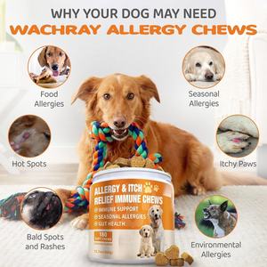 <b>Dog</b> Itch Relief - <b>Probiotics</b>, Omega 3 Fish Oil - Seasonal Allergies - Immune Health Supplement - <b>Dog</b> Allergy Relief <b>Chews</b> - Product Image 3