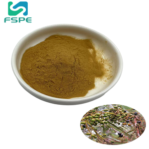 パルメットエキス10:1パウダーバルク天然ピュアソー - Product Image 1