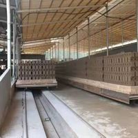 Ligne de production de briques d'argile par extrusion sous vide, machine automatique de fabrication de briques en terre rouge pleines ou creuses, prix